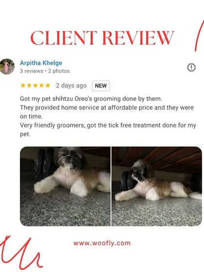 This review for Oreo the Shih Tzu highlights three key things I offer: on-time service, affordable prices, and value-added treatments like tick-free service.