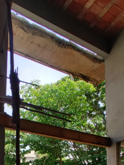 A view from inside the bare shell, framing the green canopy of trees outside.