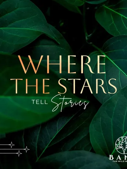 A promotional graphic emphasizing the magical experience of camping at our resort, where the stars tell stories.