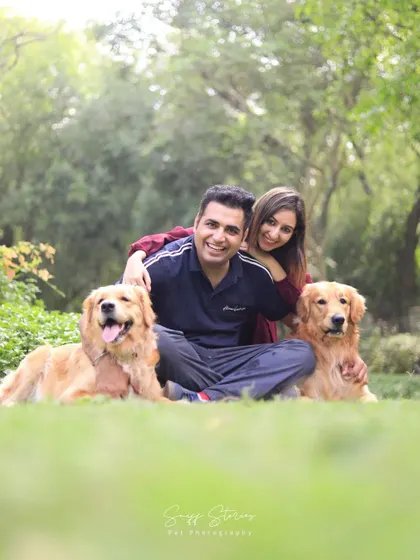 A happy family portrait in a park, with two Golden Retrievers sitting contentedly with their smiling parents.