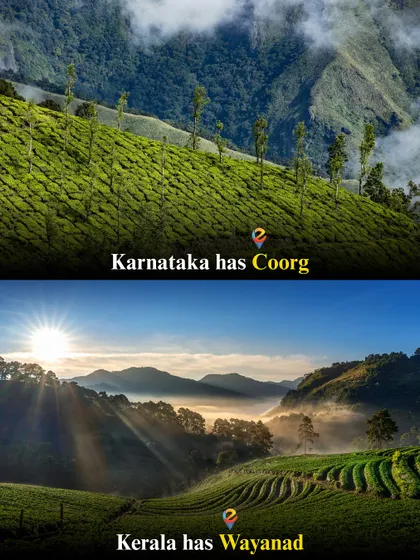 The Scotland of India, Coorg, or God's Own Country's gem, Wayanad? Both offer misty hills and green vistas, and I have weekend trips to both.