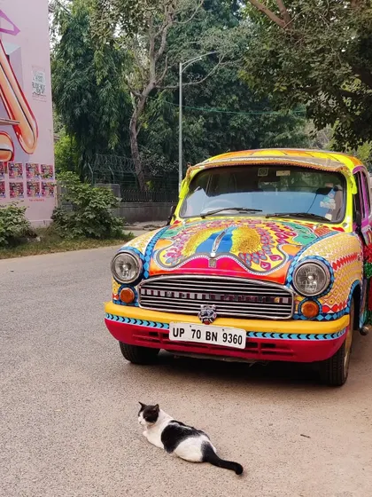 Even a local cat couldn't resist posing with our colorful creation. This car truly stops traffic.