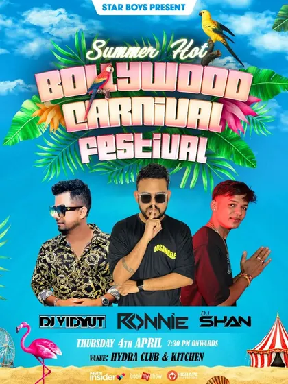 This poster for the "Summer Hot Bollywood Carnival Festival" shows the kind of themed festival events I headline. I bring a carnival vibe with a mix of the latest Bollywood hits.