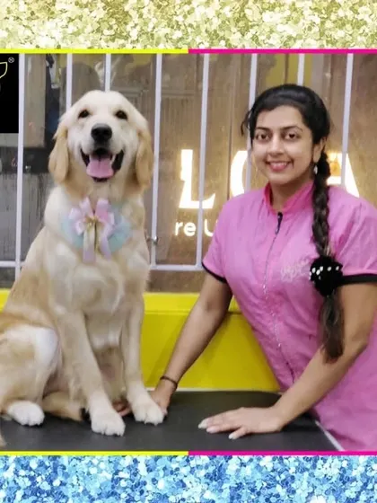 Loki the Golden Retriever came in for a summer grooming session. A good de-shedding helps keep these big dogs cool and comfortable.