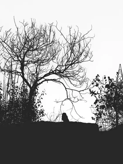 A high-contrast silhouette of an Indian Eagle Owl against a stark white sky, emphasizing its shape and the texture of the bare tree.
