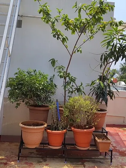 Even with features like an external staircase, we can design a layout that fits perfectly. Here, a stand tucks neatly into the space, showcasing several large plants.