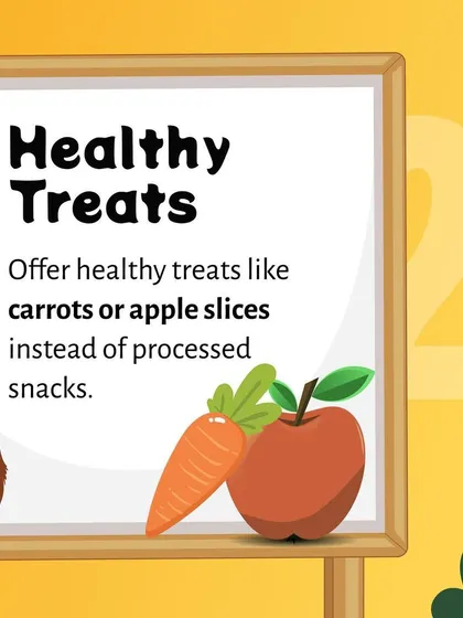 What you feed your pet matters. This tip encourages choosing healthy, whole-food treats over processed options to provide essential nutrients and maintain a healthy weight.