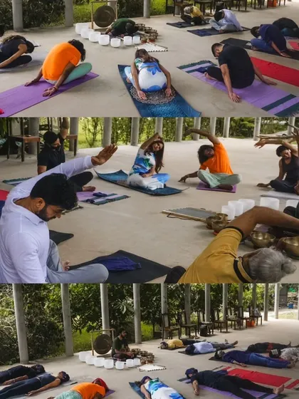 This collage shows different moments from a single transformative sound bath in nature. You can see participants engaging in gentle stretches before settling into deep relaxation, showcasing the holistic flow of our sessions.
