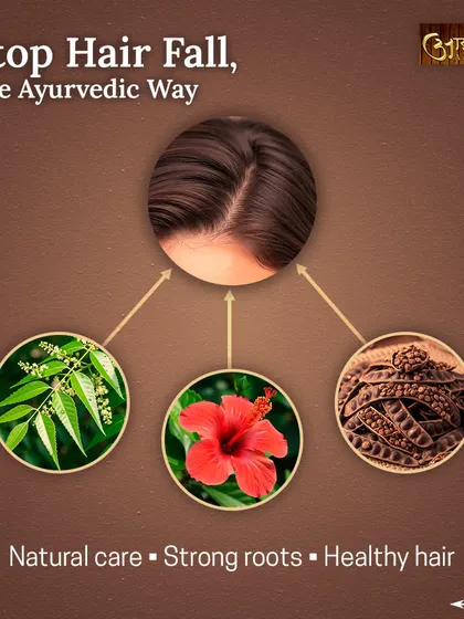 This diagram illustrates how to stop hair fall the Ayurvedic way. It focuses on natural care with strong roots for healthy hair, using the power of herbs like Neem, Hibiscus, and Shikakai.
