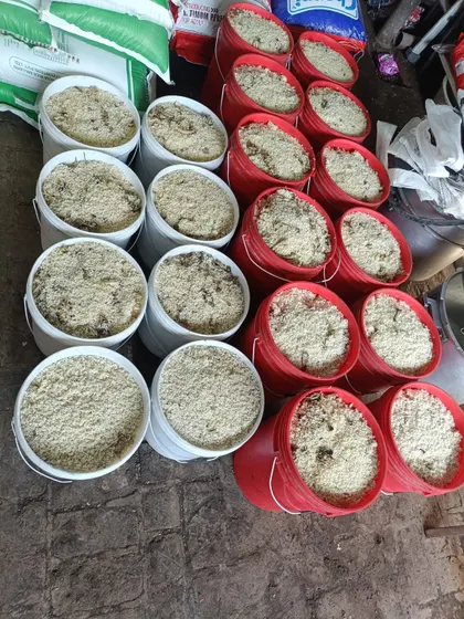 This is what it takes to feed hundreds of animals every single day. Our community kitchen prepares massive quantities of fresh food, packed into buckets and ready for our feeding routes. This isn't just charity; it's a large-scale daily operation to fight hunger on the streets.