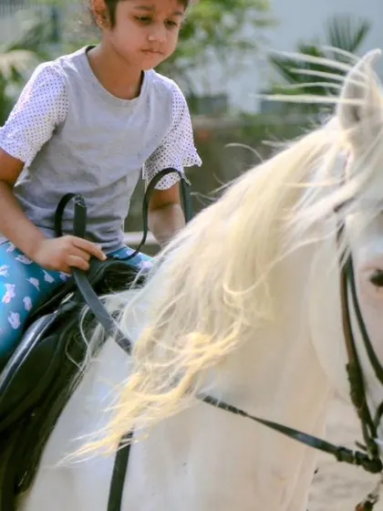 A close-up of a young rider, focused and in sync with her magnificent white horse. This is a beautiful, candid portrait of a young equestrian's passion.