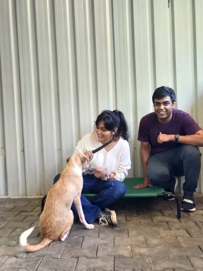A moment of connection and play with one of the shelter dogs. Building trust with a rescue dog who may have a difficult past is a slow but incredibly rewarding process.