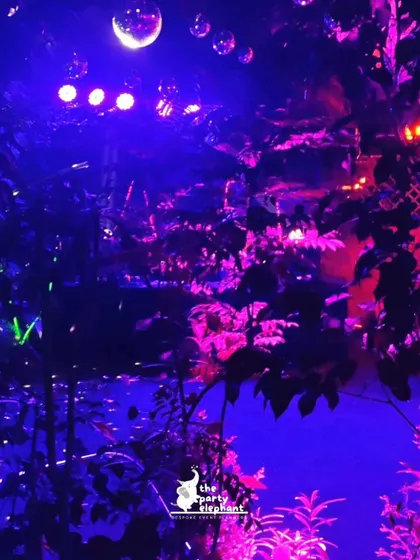 An atmospheric shot from the neon party, where the trees and foliage were bathed in dramatic pink and blue light, with disco balls adding points of reflection.