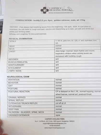 A copy of Buddy's consultation report.