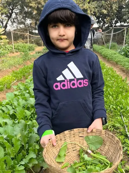 A child in a hoodie holding a basket of freshly picked radishes and greens.