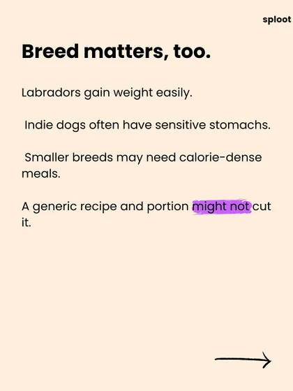 Breed matters too. Labradors are prone to weight gain, while Indie dogs often have sensitive stomachs. A generic recipe and portion size might not be enough.