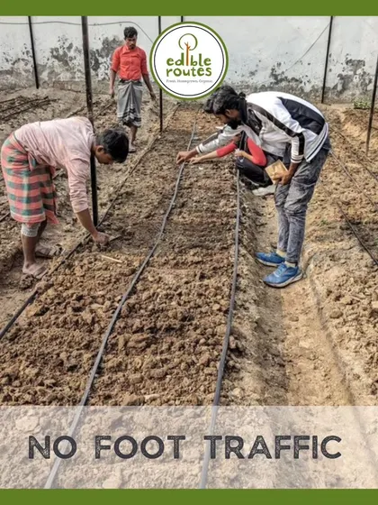 Since you don't walk on the soil in raised beds, soil compaction is minimized. This helps maintain an optimal, airy structure for roots to thrive.