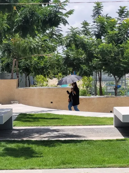 Even on a cloudy day, the value of a well-placed tree is clear. This image captures a moment of passage through a residential landscape, where the growing trees will soon provide essential shade for pathways and seating areas.
