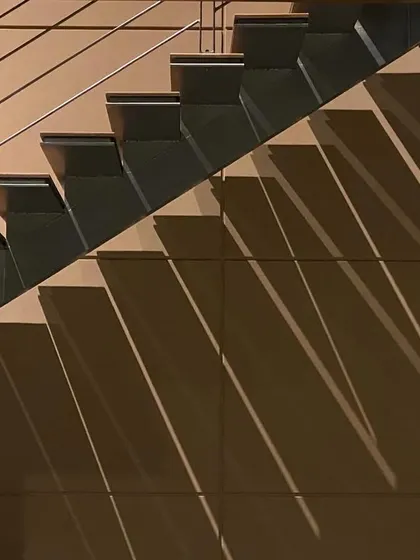 This image captures our fascination with the interplay of light and form. The simple, modern design of this staircase is elevated by the dramatic shadow play on the wall, turning a functional element into an intentional, artistic statement.