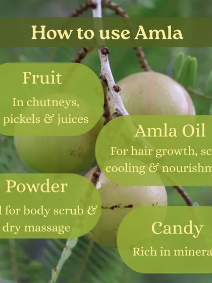 Captions for these will be educational, explaining the Ayurvedic properties and uses of plants like Neem (Nimbi) and Amla (Amalaki), or detailing aspects of the Ayurveda retreats and courses as shown in the images.