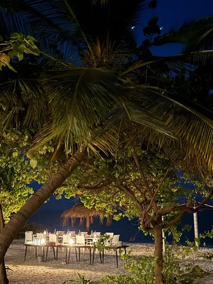 More glimpses from our unforgettable Lakshadweep retreats. Every moment is a postcard, from sunrise dives and full moon dinners to candid conversations and quiet naps on the beach.