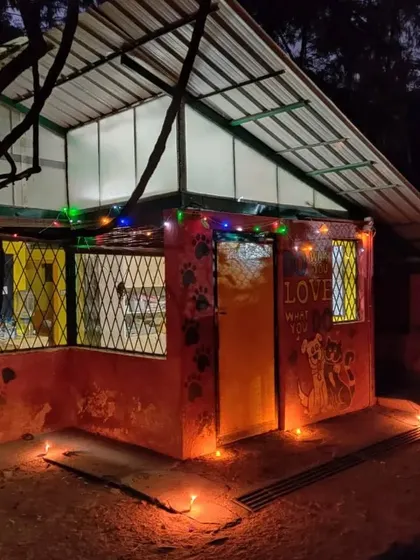The Kitty Kabins building illuminated with diyas, ensuring a serene and stress-free festival of lights for our cat boarders.