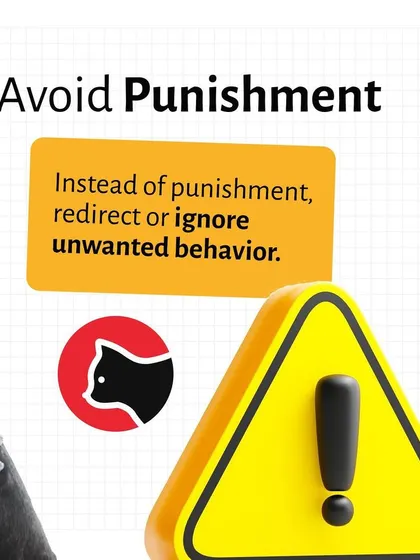 Positive reinforcement is more effective than punishment. This tip shows how to manage unwanted behaviors by redirecting your pet's attention, which fosters a healthier and more cooperative relationship.