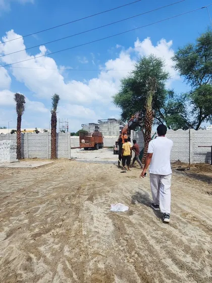 A wide view of a site being transformed with the addition of our majestic Date Palm trees.