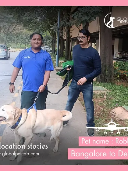 Our handler with Robbie and his owner, providing door-to-airport service for his flight from Bangalore to Delhi. We pride ourselves on our professional and caring team.