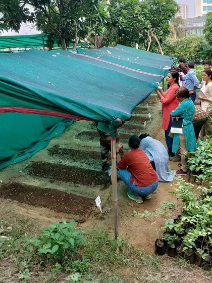 Participants in our nursery workshop observe the results of their seed sowing from the previous week, with native Roheda and Salai seeds sprouting.