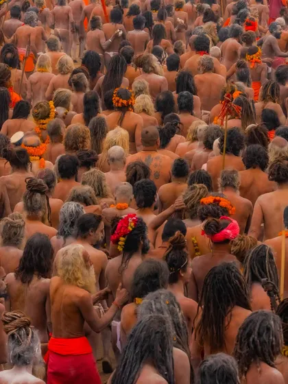 The backs of countless Naga sadhus, their matted hair (jata) creating a unique and powerful texture. This perspective highlights their unity and shared identity.