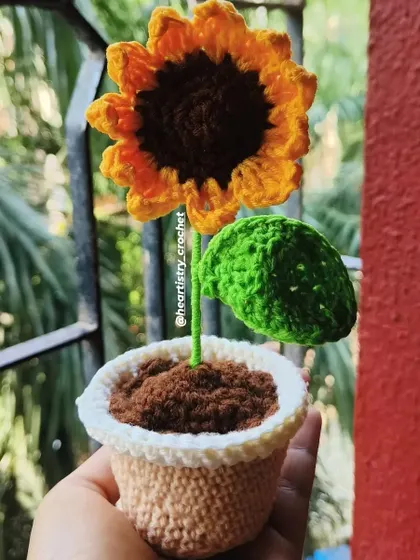 A detailed shot of the potted sunflower. You can see the texture of the crochet pot, the soil, and the bright, cheerful flower.