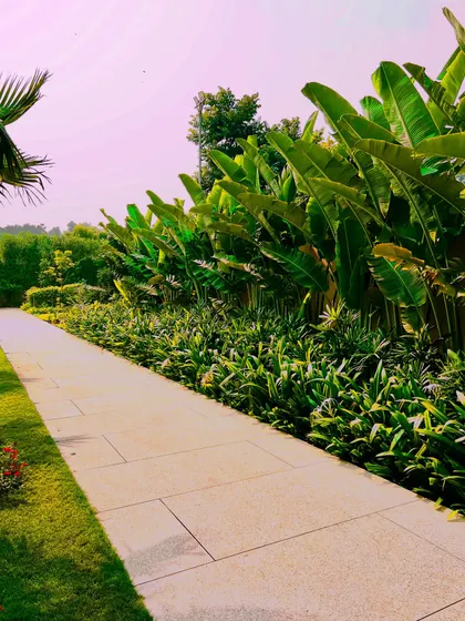 The same pathway, captured with a different light that highlights the rich colors of the foliage. A well-designed landscape looks beautiful at any time of day.
