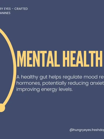 A healthy gut can even impact your dog's mental health by regulating mood-related hormones, potentially reducing anxiety.