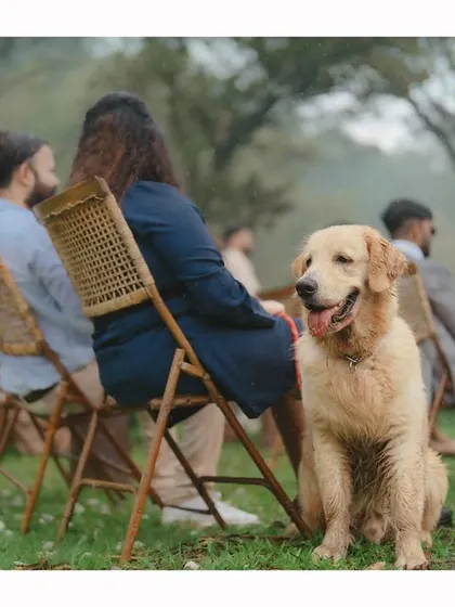 A loyal guest, the couple's golden retriever, sits patiently during the ceremony. This shot captures the sweet, personal details that make a wedding day unique.