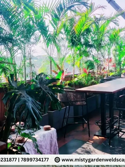 A lush, tropical theme for the outdoor seating area at Skydeck. We used a variety of palms and large-leafed plants to create a dense, green canopy that provides a sense of escape.