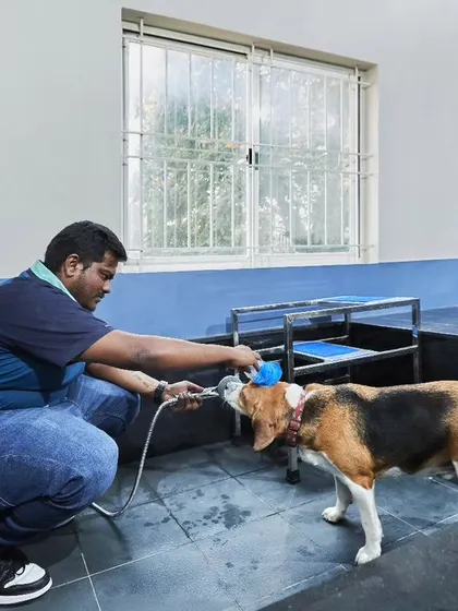 The pet wash area is designed to be durable and easy to clean, with fully tiled surfaces and practical fixtures.