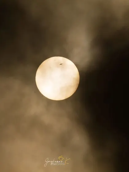 A lone bird flies across the face of the morning sun, creating a dramatic silhouette against the hazy, golden light. This artistic shot conveys a sense of freedom and the grand scale of nature, ideal for inspirational content or atmospheric backgrounds.
