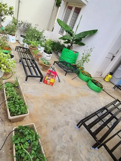 This terrace garden is in the process of a makeover. Our newly delivered single-tier and two-tier stands are placed and ready to organize the client's collection of grow bags, rectangular planters, and pots.