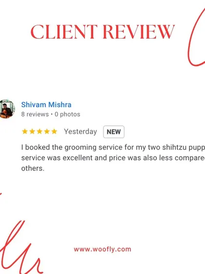 Grooming two Shih Tzu puppies at once is always fun. I'm happy to provide an excellent service at a price that is competitive and fair.