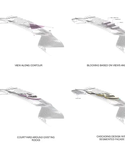 Further diagrams of our computational design process for Amar Villa, showing how we blocked the form based on views and privacy.