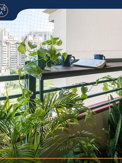 Even a small balcony can become a tranquil corner. We added a simple wooden bar top for morning coffee or work, surrounded by a variety of potted plants like money plants and snake plants to create a lush, green escape from the city bustle.
