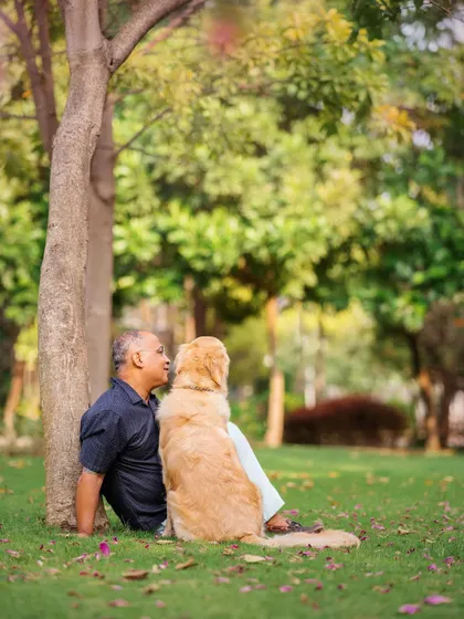 Sometimes, the most profound conversations happen without a single word. A quiet moment shared between a man and his Golden Retriever, just enjoying each other's company under a tree.