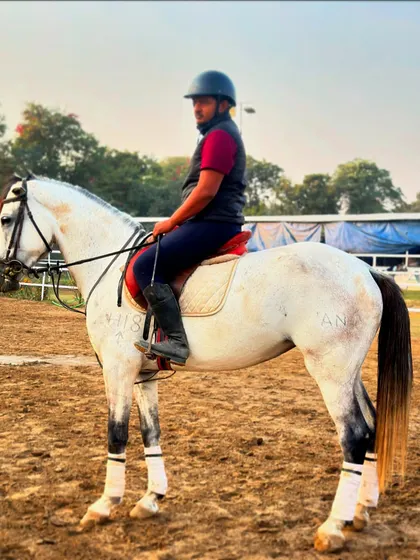 Meet Akira, a majestic and energetic young horse. He is a great example of the promising equine partners I have available for riders looking for potential and spirit.
