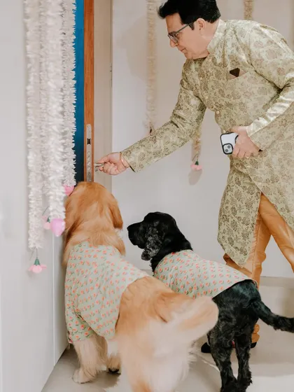 The furry hosts inspecting the decor. These humorous, candid moments add so much personality to the wedding album.