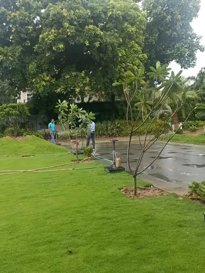 A wide shot of a newly planted lawn at a farmhouse. The fresh green grass and young trees are the beginning of a beautiful landscape that will mature over time.