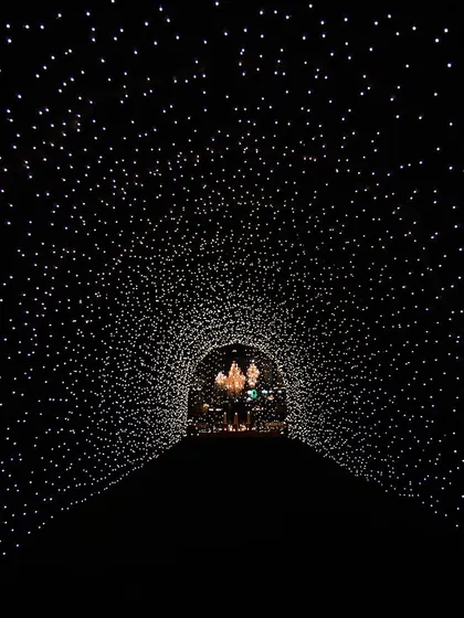 A magical, star-like tunnel of fairy lights created for an engagement party entrance. This immersive installation was designed to make guests feel like they were walking through a galaxy.