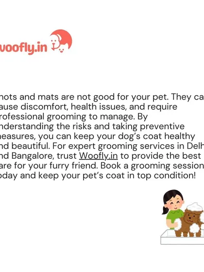 For expert grooming services to manage and prevent mats, trust me to provide the best care for your furry friend.