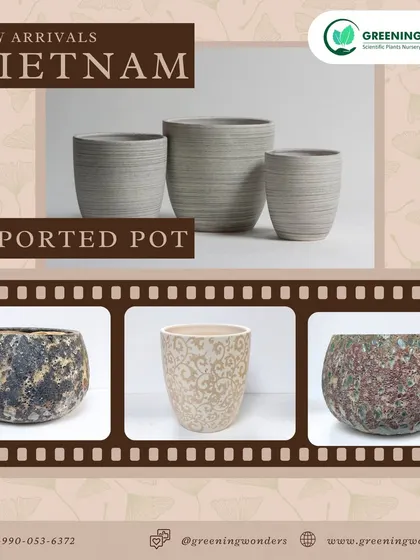 This image features more of our imported Vietnamese pots, showcasing a range of earthy tones and textures. From horizontally ribbed designs to speckled and patterned finishes, there is a pot for every style.