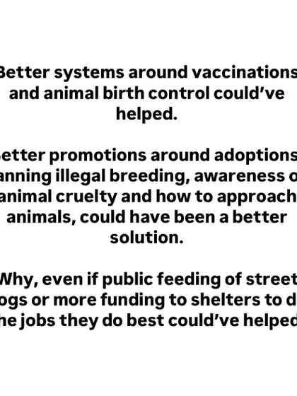 We propose alternative solutions that could have been considered, such as better vaccination and birth control programs, promoting adoption, and funding shelters to do their jobs effectively.